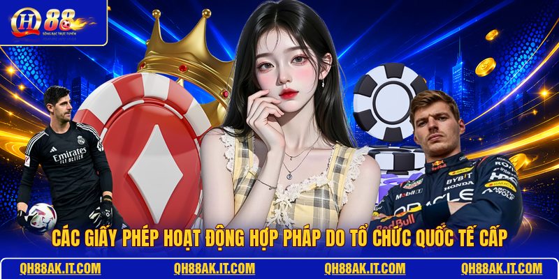 cac-giay-phep-hoat-dong-hop-phap-do-to-chuc-quoc-te-cap