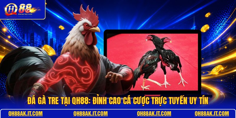 da-ga-tre-tai-qh88-dinh-cao-ca-cuoc-truc-tuyen-uy-tin