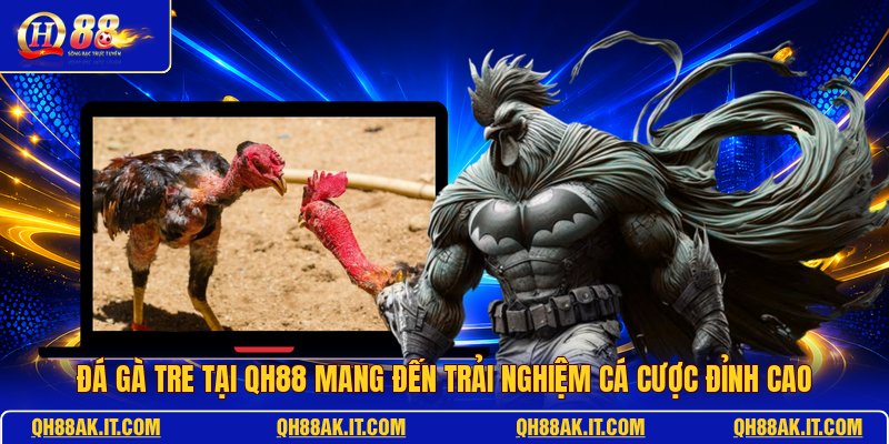 da-ga-tre-tai-qh88-mang-den-trai-nghiem-ca-cuoc-dinh-cao