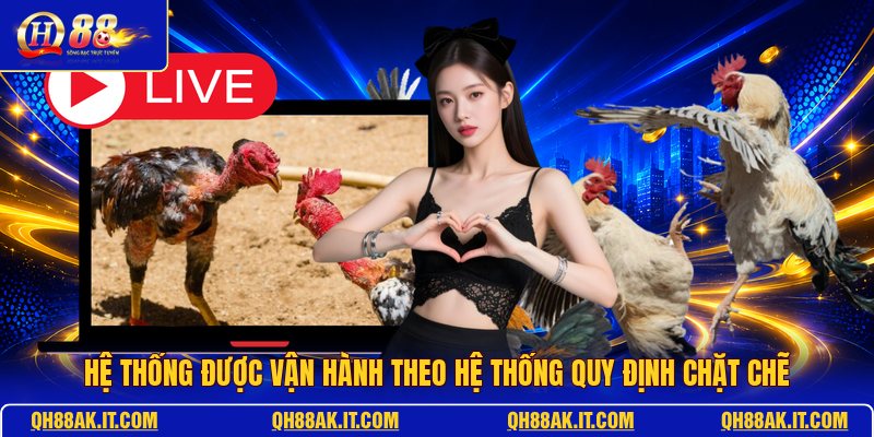 he-thong-duoc-van-hanh-theo-he-thong-quy-dinh-chat-che
