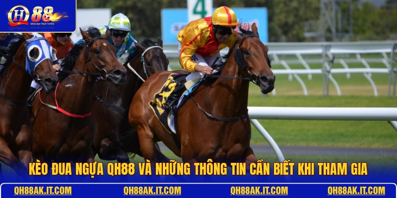 keo-dua-ngua-qh88-va-nhung-thong-tin-can-biet-khi-tham-gia