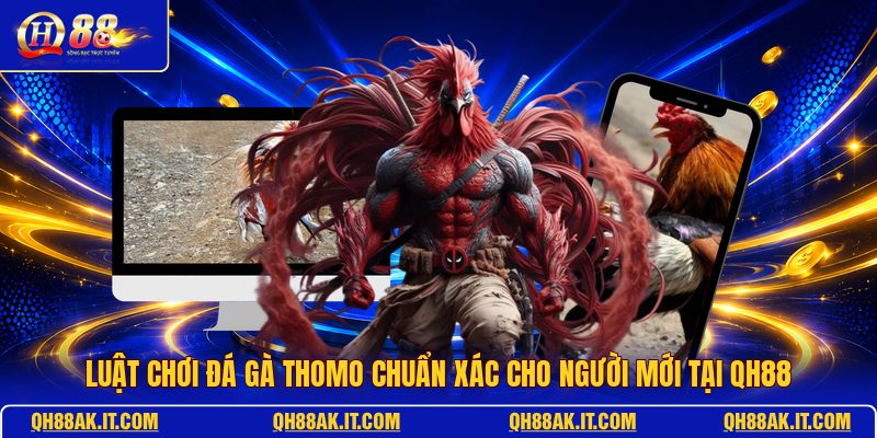 luat-choi-da-ga-thomo-chuan-xac-cho-nguoi-moi-tai-qh88