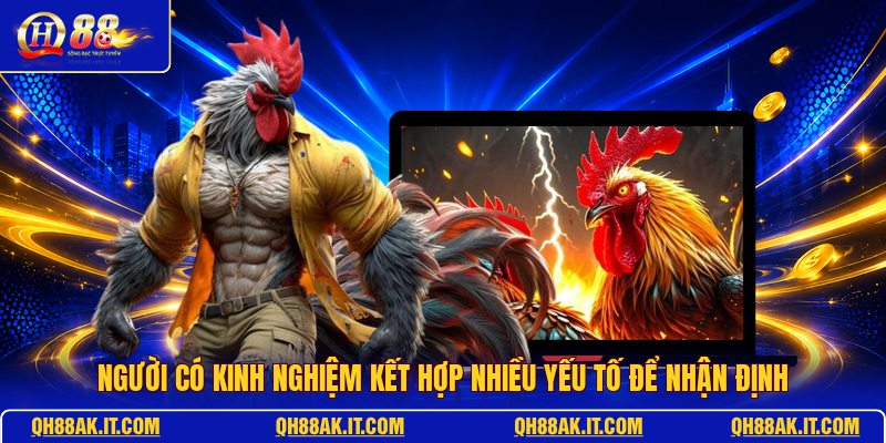 nguoi-co-kinh-nghiem-ket-hop-nhieu-yeu-to-de-nhan-dinh