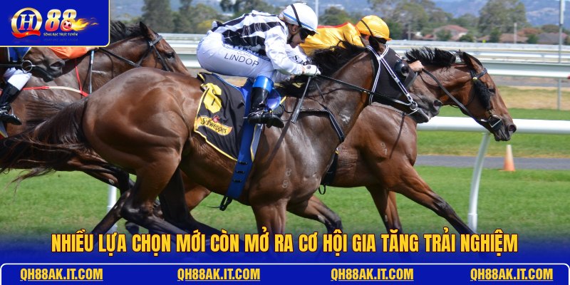 nhieu-lua-chon-moi-con-mo-ra-co-hoi-gia-tang-trai-nghiem
