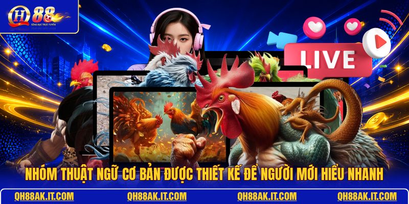 nhom-thuat-ngu-co-ban-duoc-thiet-ke-de-nguoi-moi-hieu-nhanh