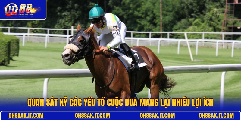 quan-sat-ky-cac-yeu-to-cuoc-dua-mang-lai-nhieu-loi-ich