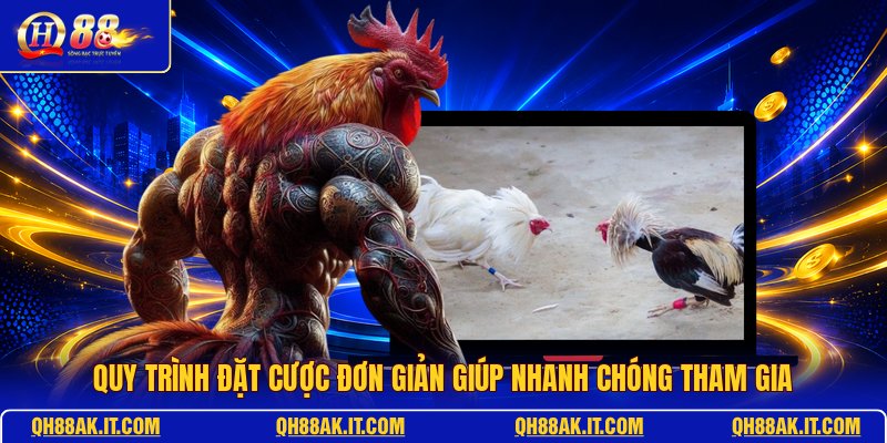 quy-trinh-dat-cuoc-don-gian-giup-nhanh-chong-tham-gia